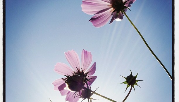 04b673b81b4211e292a722000a1f97f4_7