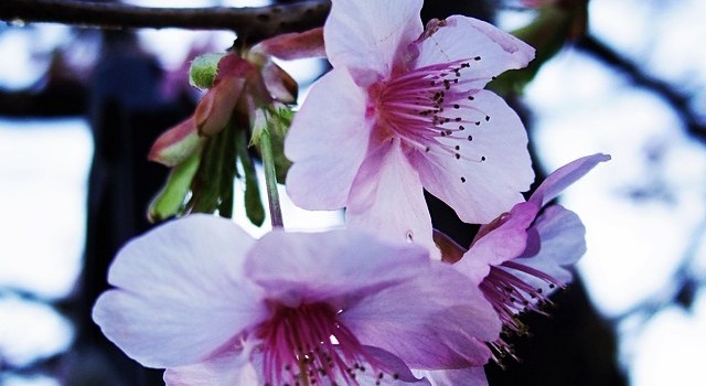 088f1a6ea69a11e39bbf12dadab21c47_8