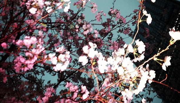 08a7b1a2952811e2b2fd22000a9e0875_7