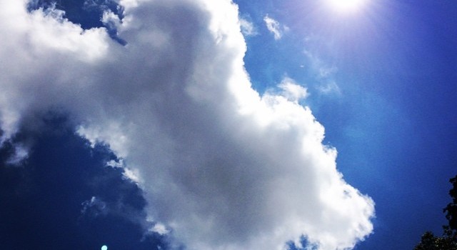 10520121_255129978026032_147042758_n