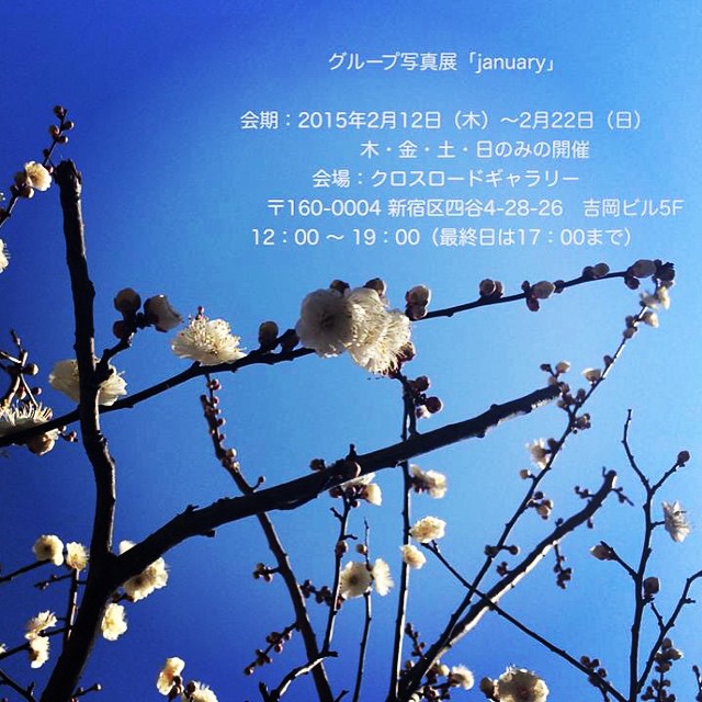 展示します。18名の2015年1月。毎日1枚で31枚をカレンダーのように並べます。お近くにいらっしゃる際にはぜひ。