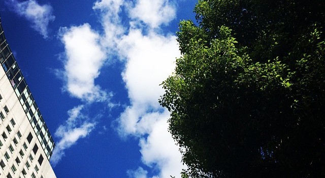 10725016_366901930139559_715212027_n