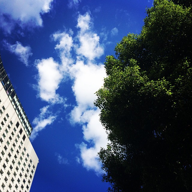 何かがうまれそうな空