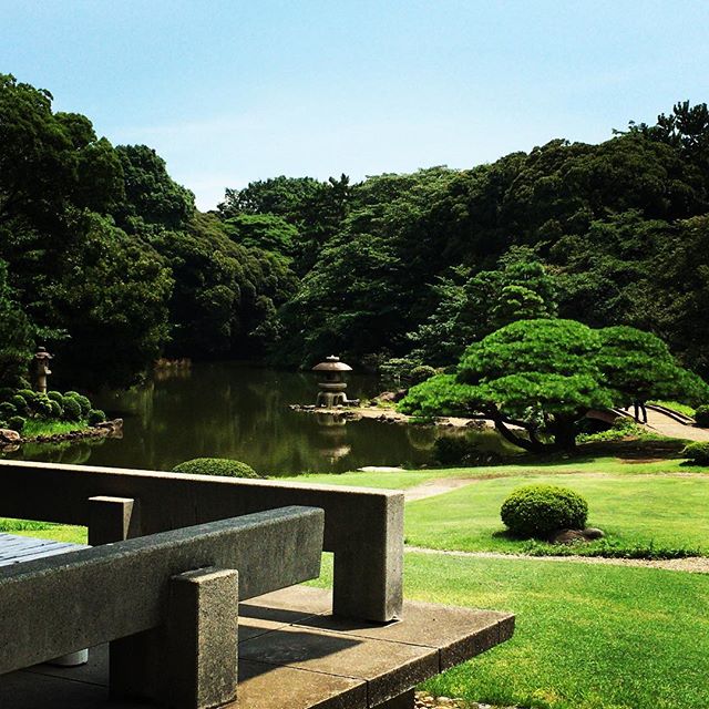 【ぐもにん2117】心静かな時間を作る。今日も「笑顔の選択」を。#goodmorning #green #garden #japanesegardens