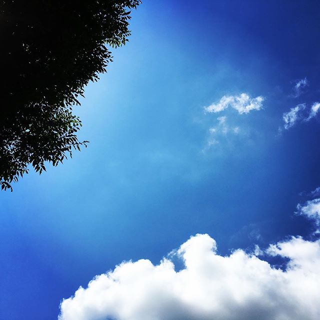 【ぐもにん2132】深呼吸して肩の力を抜いて未来を見つめて。今日も「笑顔の選択」と。#goodmorning #sky #blue #bluesky #clouds #green #forthefuture
