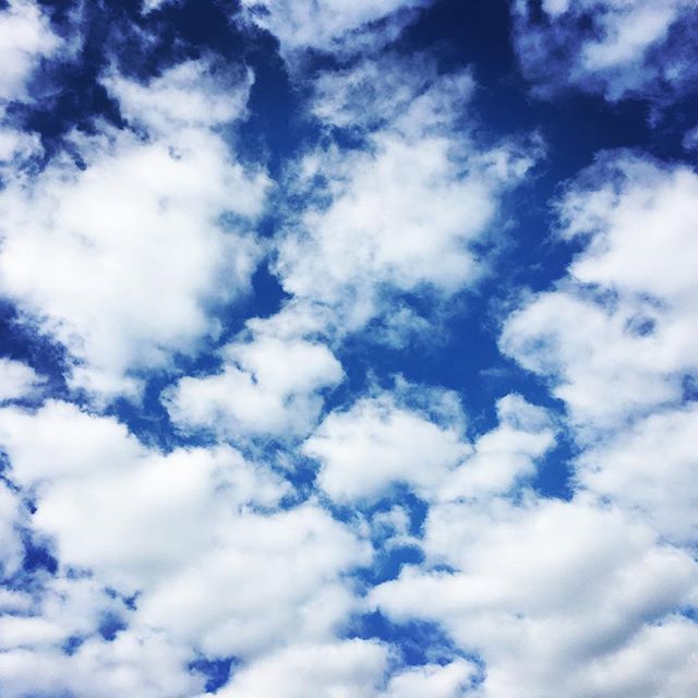 【ぐもにん2179】とらわれず、軽やかに。今日も「笑顔の選択」と。#goodmorning #beautifulsky #bluesky #cloudart #clouds #blue