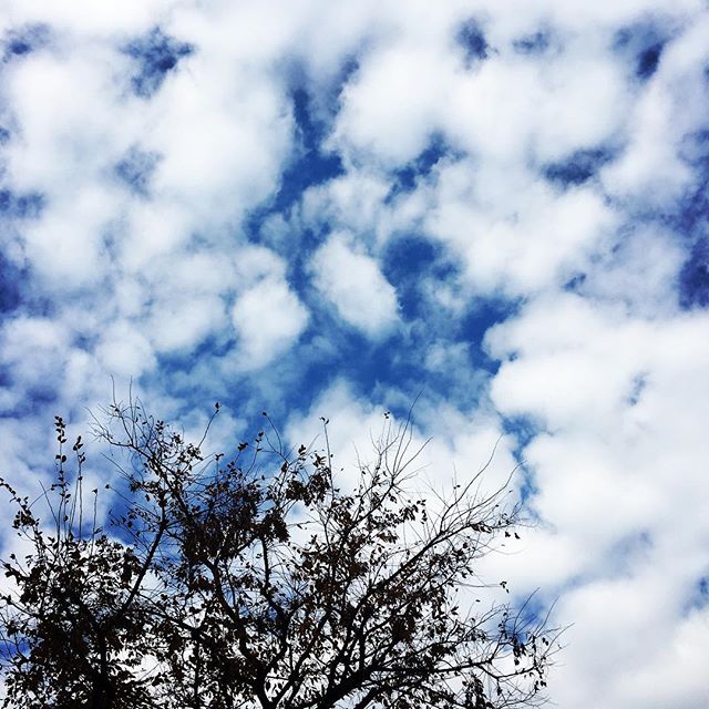 【ぐもにん2237】全てを愛で包み込む。今日も「笑顔の選択」と。#goodmorning #beautifulsky #sky #bluesky #cloud #cloudart #tree