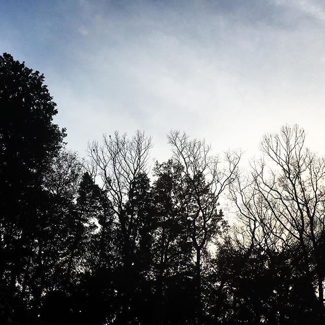 【ぐもにん2244】気を配る半径を少し広げてみる。今日も「笑顔の選択」と。#goodmorning #beautifulsky #tree #silhouette
