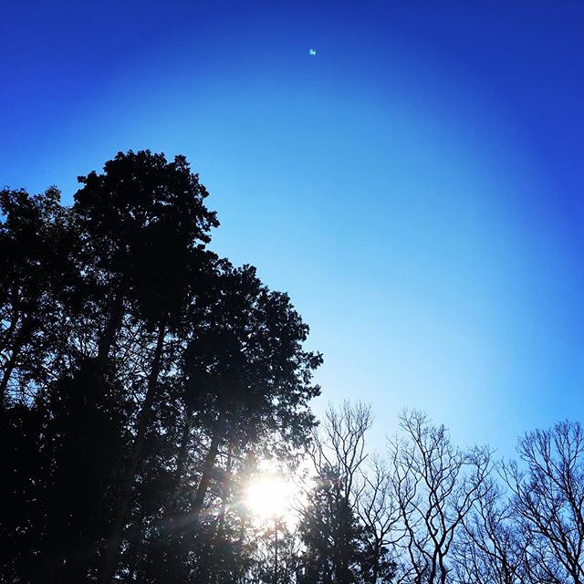 【ぐもにん2295】起きている必然を楽しむ。今日も「笑顔の選択」と。#goodmorning #beautifulsky #tree #sunlight #bluesky