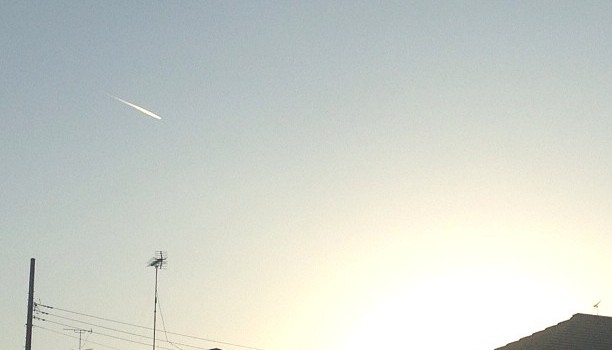 1709acb0476111e2a1fa22000a1f9261_7