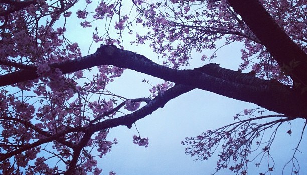 1ed0f876af1d11e2982122000a1f8c32_7