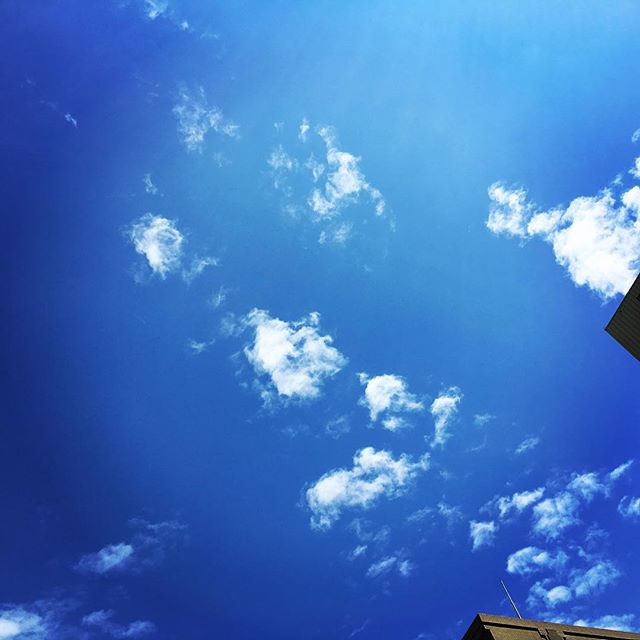 【ぐもにん2505】思う存分動いてみる。今日も「笑顔の選択」と。#goodmorning #blueeyes #blue #sky #beautifulsky #beautiful #おはよう