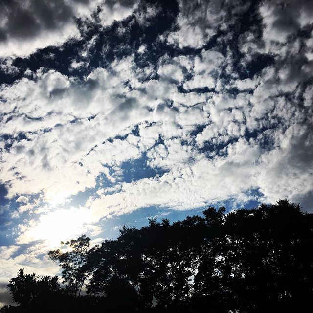 【ぐもにん2544】変えようとしなくても導かれて変わって行くよ。今日も「笑顔の選択」と。#goodmorning #beautifulsky #bluesky #beautiful #blue #sky #cloudart #cloud #おはよう