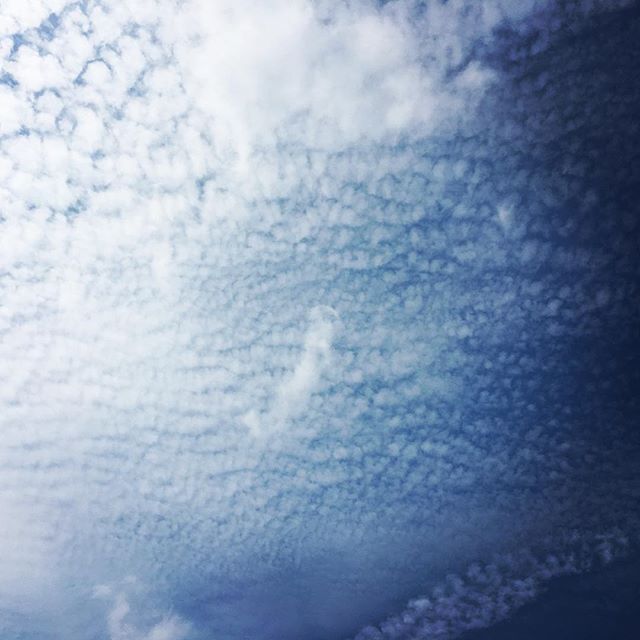 【ぐもにん2546】今を全力で。集中・没頭。今日も「笑顔の選択」と。#goodmorning #bluesky #blue #sky #cloudart #clouds #beautiful #autumn #おはよう #秋空