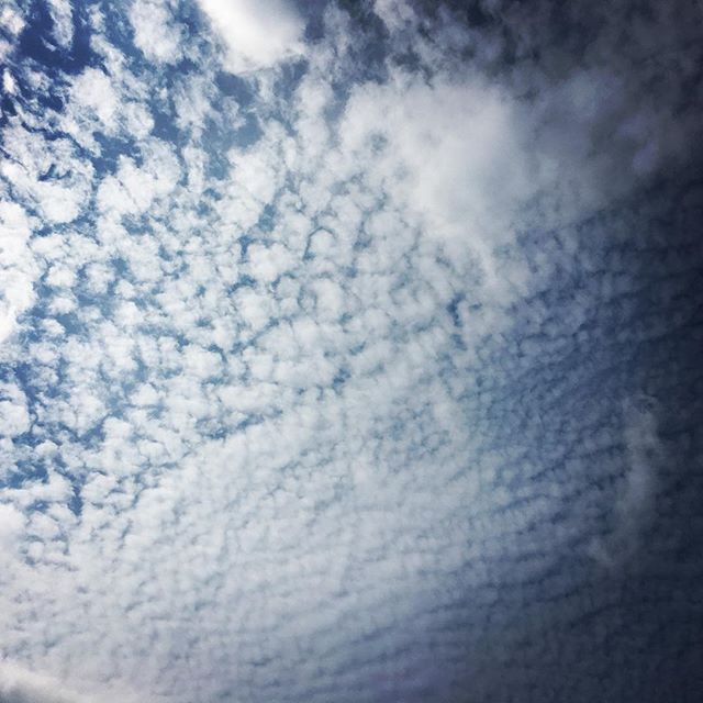 【ぐもにん2562】毎日が新しい日。新しい自分。今日も「笑顔の選択」と。#goodmorning #beautifulsky #cloudart #beautiful #sky #clouds #おはよう