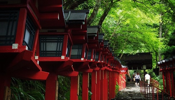 239ce5aaff4411e29a6e22000a1fab27_7