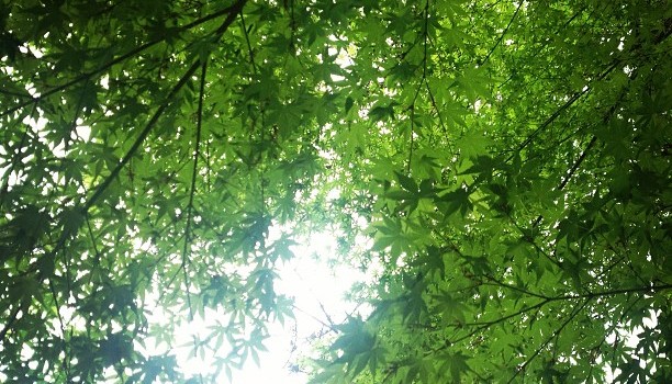 25b6ca16a71711e2be4122000a1f9d51_7