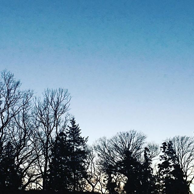 【ぐもにん2024】想いを描く立体キャンバスがほら目の前に。今日も「笑顔の選択」と。#goodmorning #silhouette #trees #sunset #blue #photography #iphonephotography #おはよう