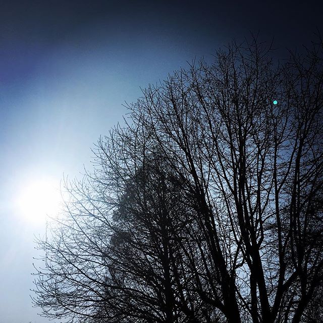 【ぐもにん2046】緩めた時に見えるもの。今日も「笑顔の選択」と。#goodmorning #beautifulsky #silhouette #trees #beautiful #sky #sunshine #photography #iphonephotography #おはよう