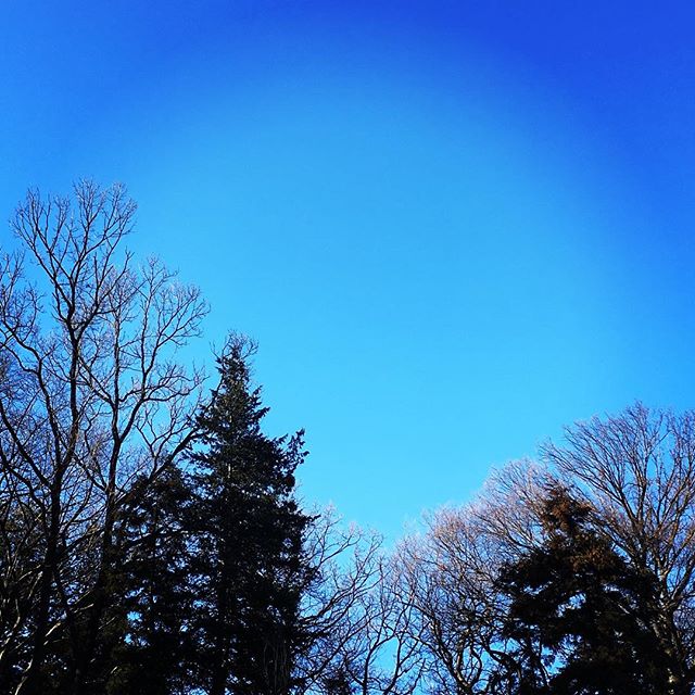 【ぐもにん2664】自分の音にチューニング。今日も「笑顔の選択」と。#goodmorning #bluesky #beautifulsky #blue #beautiful #sky #trees #photography #photo #iphonephotography #おはよう