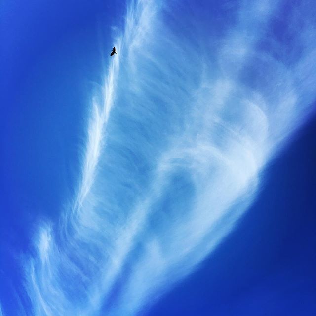 【ぐもにん2678】決めているのは自分自身。今日も「笑顔の選択」と。#goodmorning #beautifulsky #bluesky #beautiful #blue #sky #cloudart #clouds #bird #photography #photo #iphonephotography #おはよう