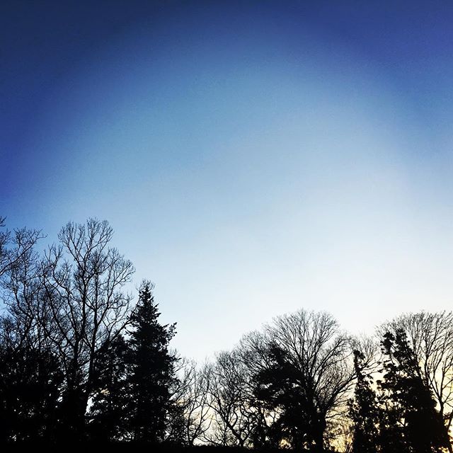 【ぐもにん2698】時には立ち止まり今を見渡す。今日も「笑顔の選択」と。#goodmorning #bluesky #beautifulsky #blue #beautiful #sky #trees #photo #photography #iphonephotography #おはよう