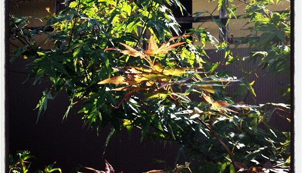 2dec9114e16711e1a76e22000a1e8903_7