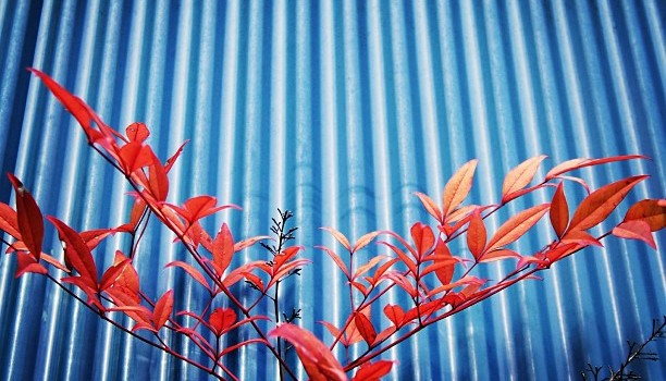 420d15504dba11e2965422000a9f18cc_7