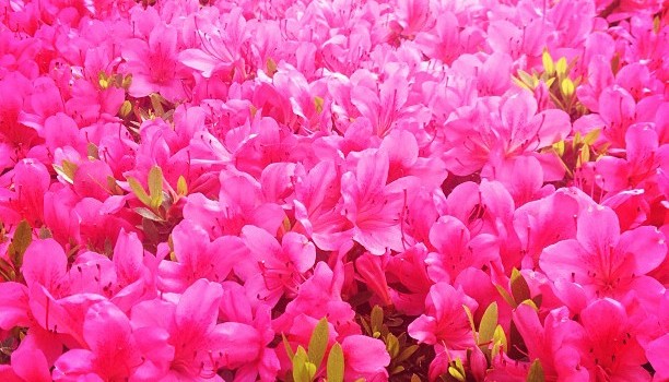 48fff870bec411e28d2722000a1f8fa0_7