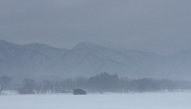 4d353264526011e2aadd22000a1fbd6a_7