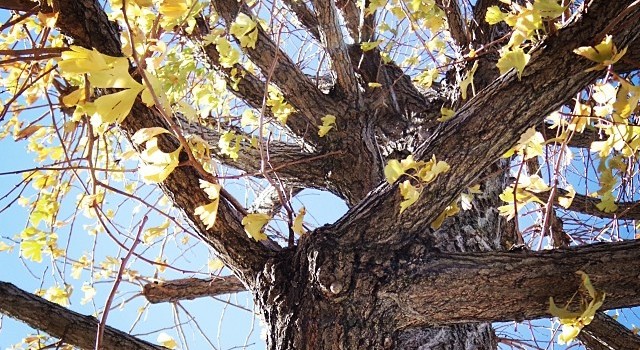 4ee606fe6ae411e38e5d121b2a62da1f_8