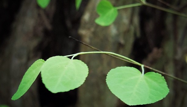 526210a4ff4411e2aec022000ae80f8c_7