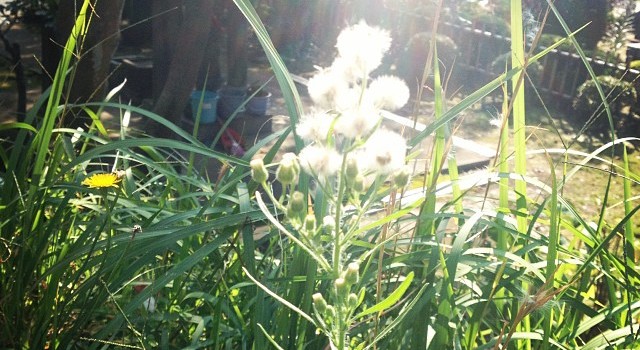 52b7bbda436411e3b9fd22000a9f4dd4_8