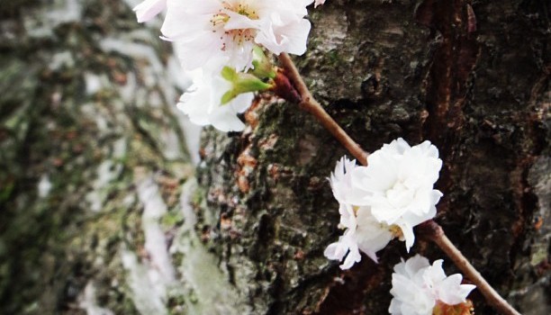 548cf3b2518911e285f622000a1f8e95_7