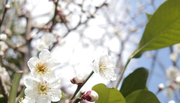 55947ebc745011e2a2ab22000a1fb84b_7