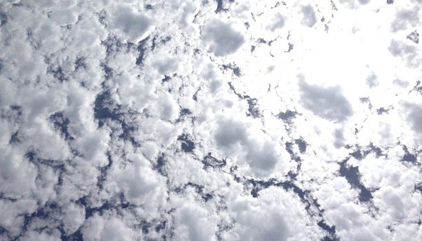 67e96cd0e76011e18ed022000a1e87a9_7