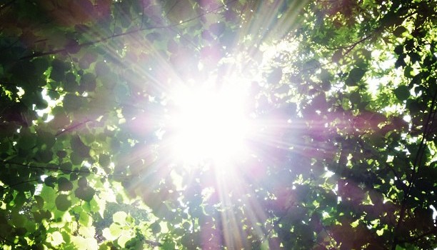 6a444af2ff4411e2974122000a9e2969_7