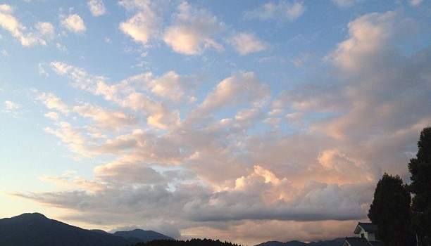 6d27d956e16711e181dd1231381b5f1f_7