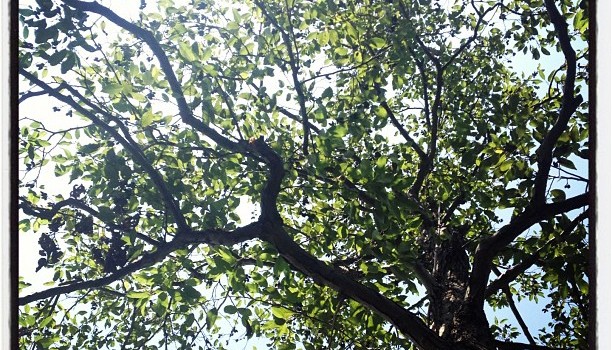 7a070702f8bc11e19df022000a1c8832_7