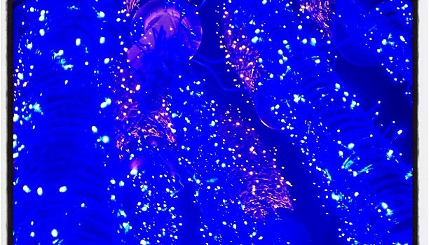 91f35962348d11e2aee522000a9f15b9_7