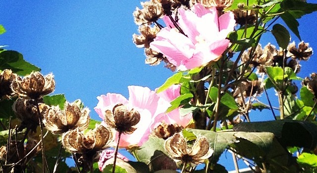 a037b3d434c211e3993f22000a9e0af5_8