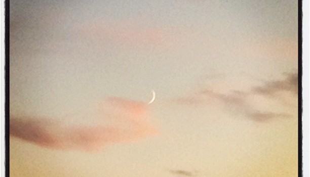 abfca618eabb11e1a7f71231380ff15b_7