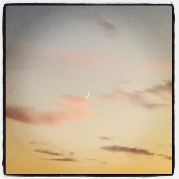 うまれたての月