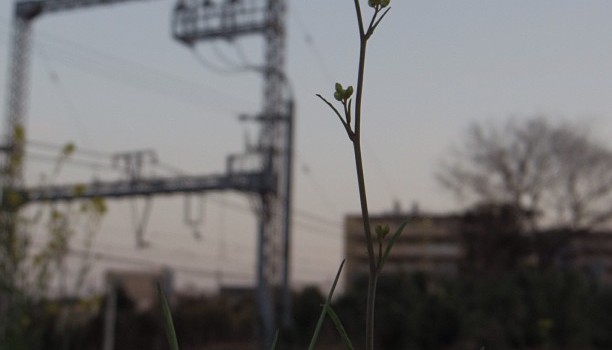 ad26a2488e1a11e29fb622000aaa1012_7