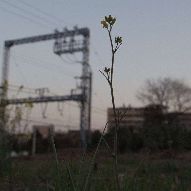 「今 在る」ということ