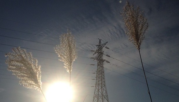 adc7deac45b211e28dc722000a1fbcbc_7