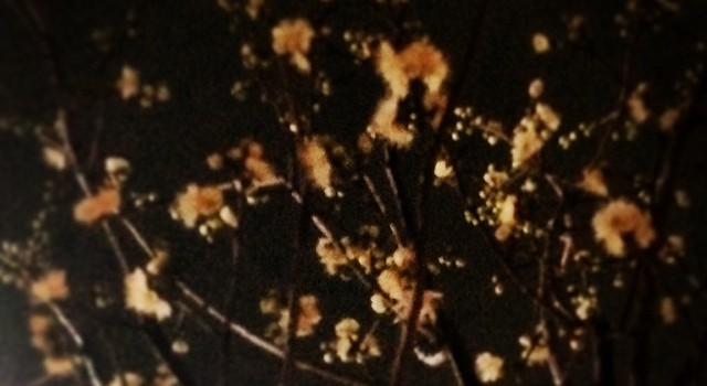 b336d0209cf311e382cb0e0076d434a9_8