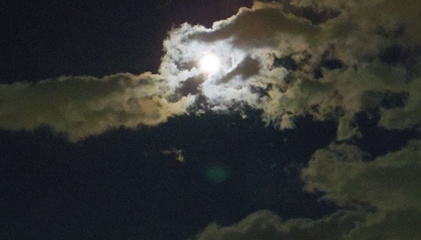 c23ec49667bc11e2ae2a22000a1f9723_7