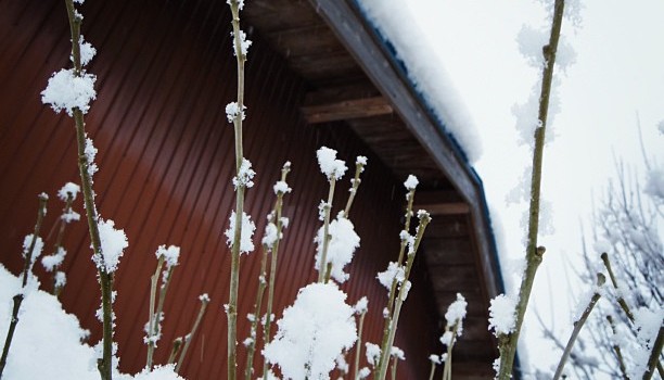 c3c2946253f511e2913d22000a9e2892_7