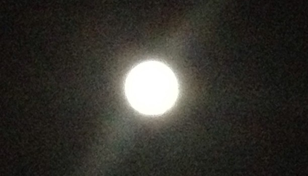 c724e148ae7f11e2a34522000a1fb1cc_7